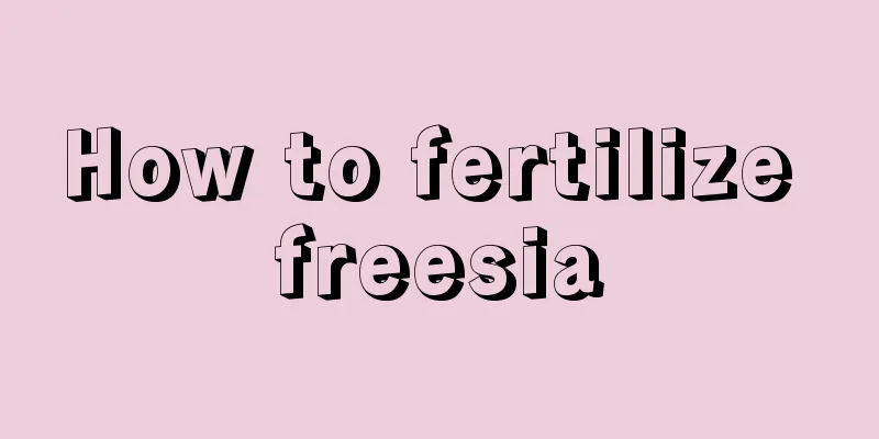 How to fertilize freesia