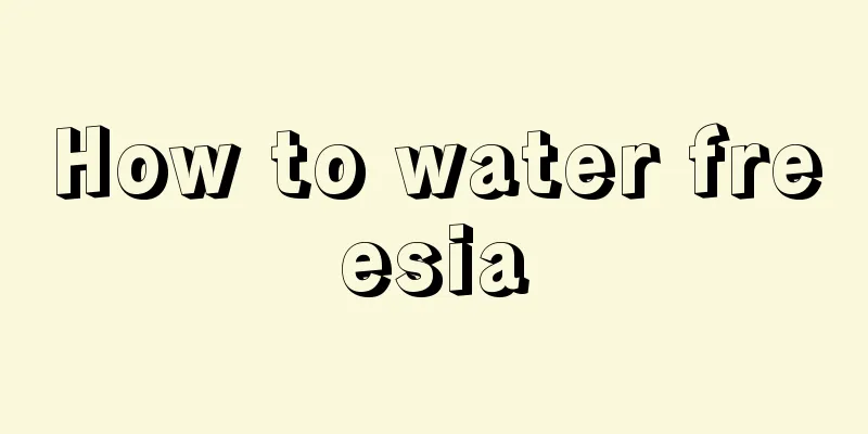 How to water freesia