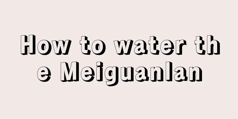 How to water the Meiguanlan