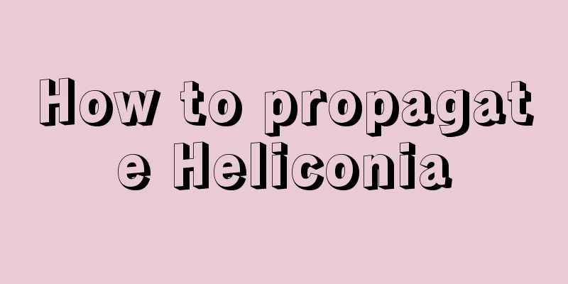 How to propagate Heliconia