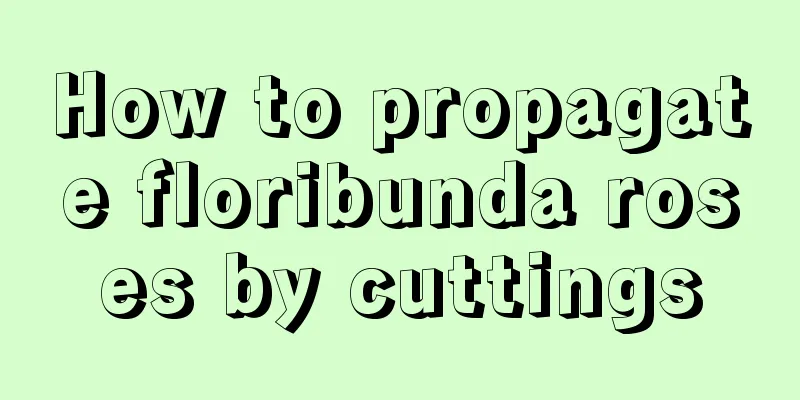 How to propagate floribunda roses by cuttings