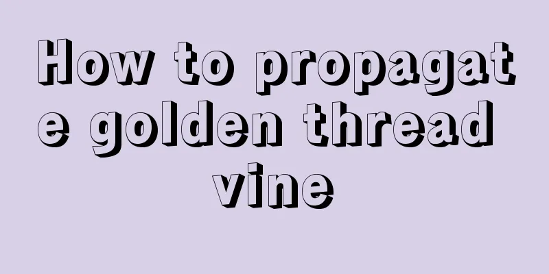 How to propagate golden thread vine