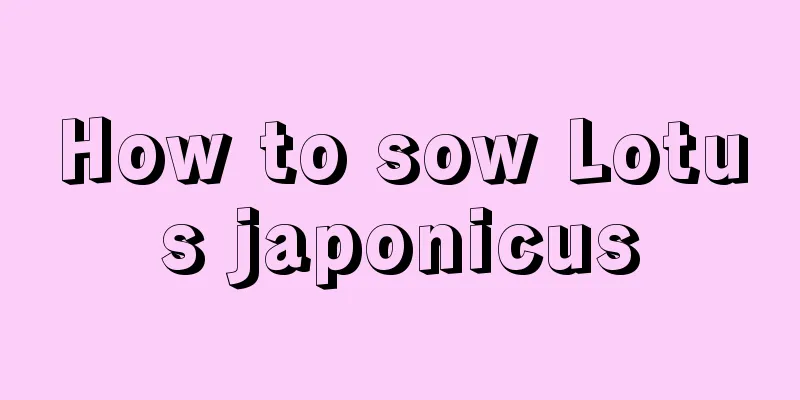 How to sow Lotus japonicus