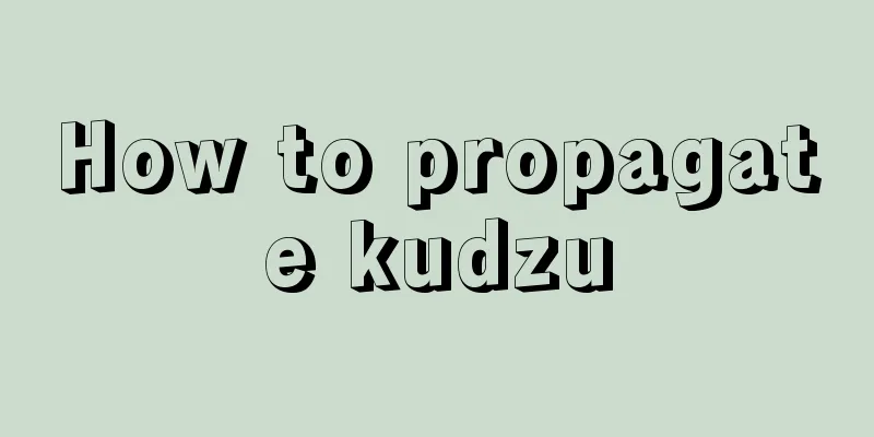 How to propagate kudzu