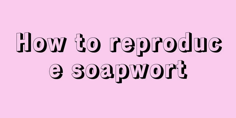 How to reproduce soapwort