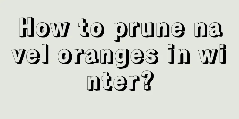 How to prune navel oranges in winter?