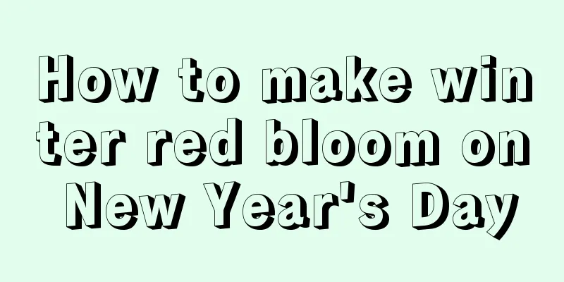 How to make winter red bloom on New Year's Day