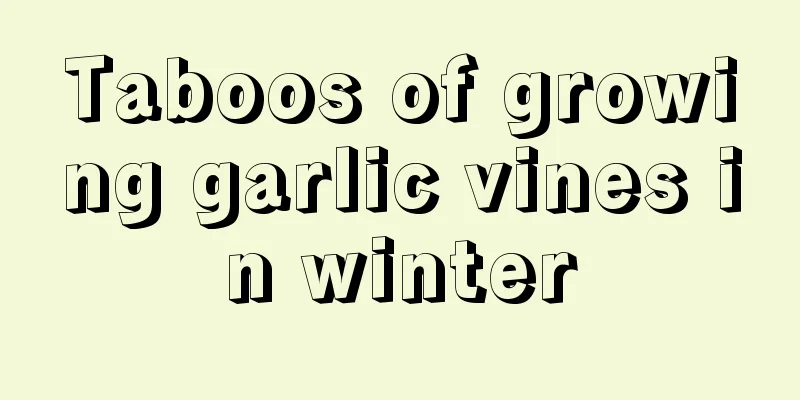 Taboos of growing garlic vines in winter