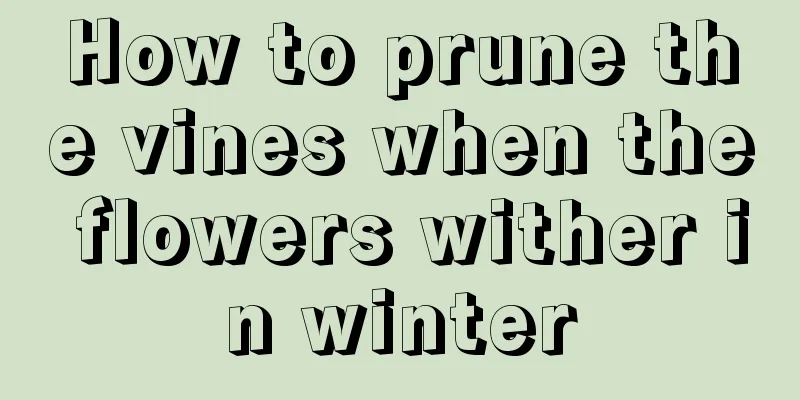 How to prune the vines when the flowers wither in winter