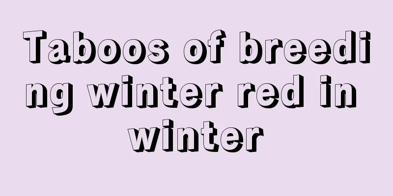 Taboos of breeding winter red in winter