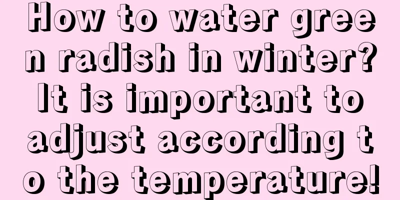 How to water green radish in winter? It is important to adjust according to the temperature!