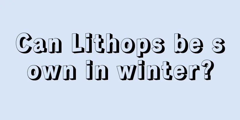 Can Lithops be sown in winter?