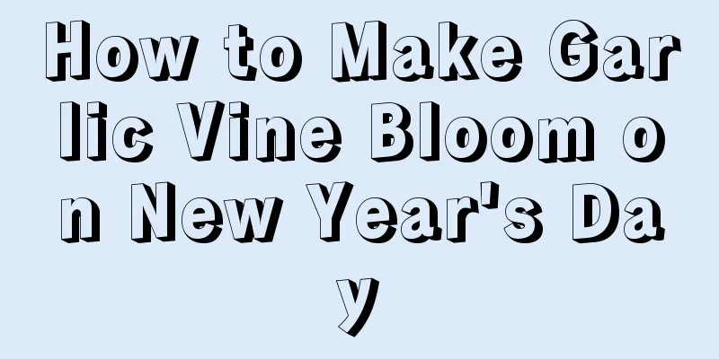 How to Make Garlic Vine Bloom on New Year's Day