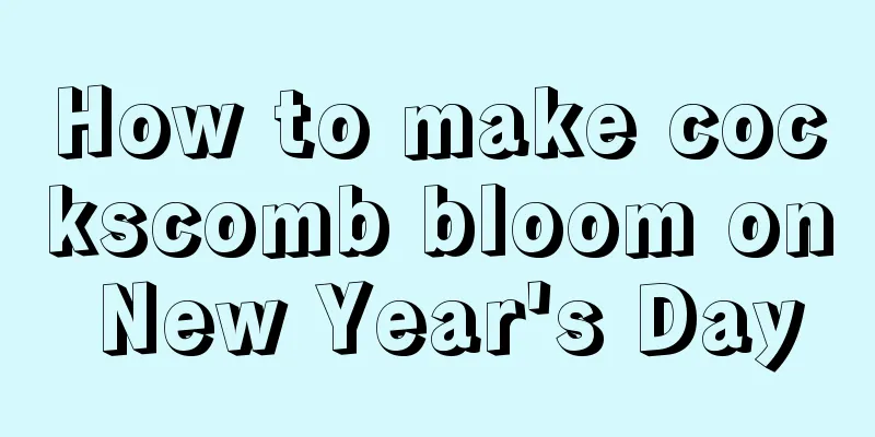 How to make cockscomb bloom on New Year's Day