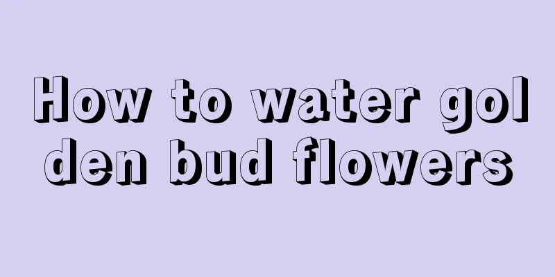 How to water golden bud flowers