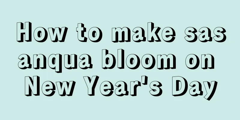 How to make sasanqua bloom on New Year's Day