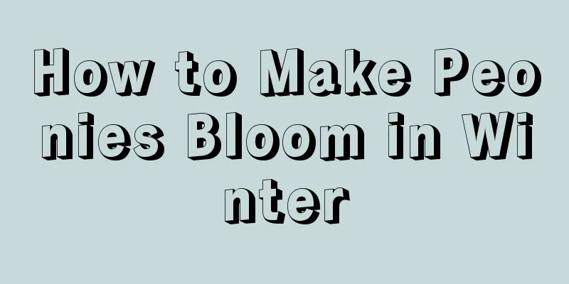 How to Make Peonies Bloom in Winter