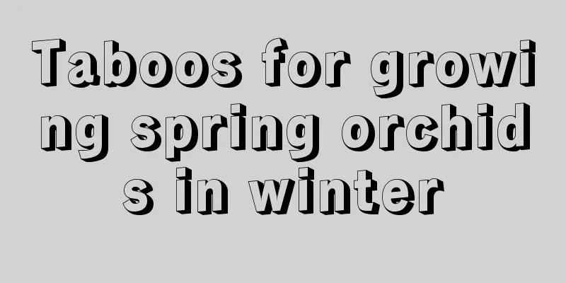 Taboos for growing spring orchids in winter