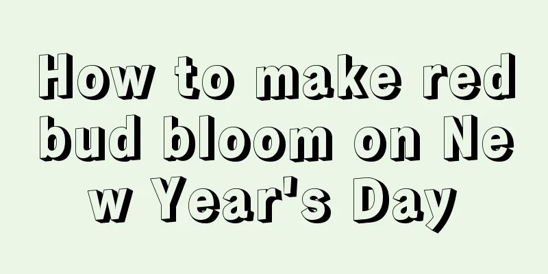 How to make redbud bloom on New Year's Day