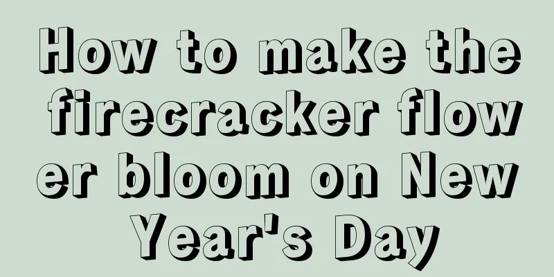 How to make the firecracker flower bloom on New Year's Day