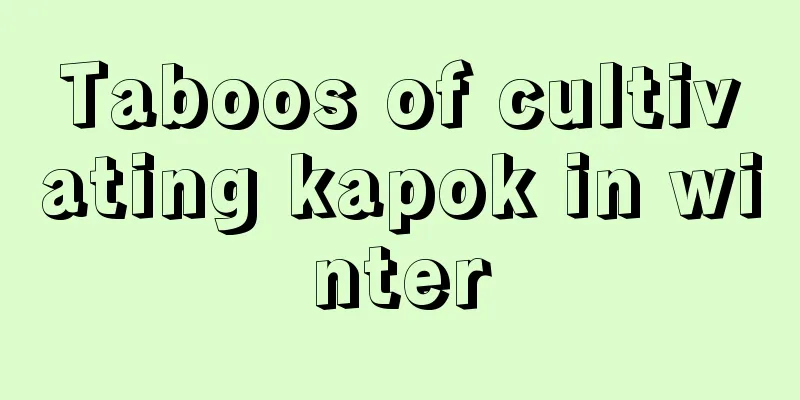 Taboos of cultivating kapok in winter