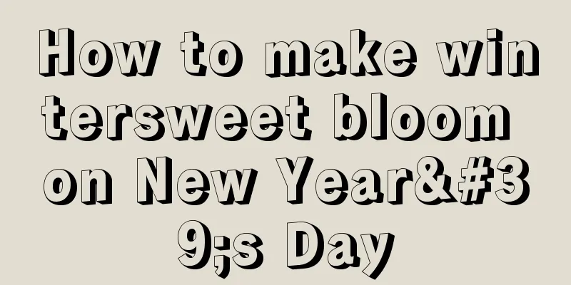 How to make wintersweet bloom on New Year's Day