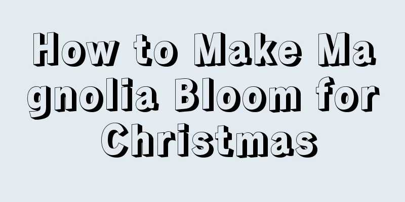 How to Make Magnolia Bloom for Christmas