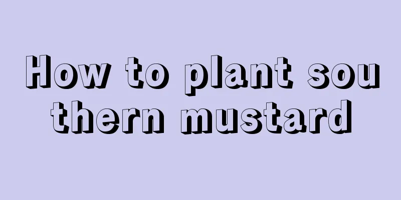 How to plant southern mustard