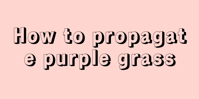 How to propagate purple grass