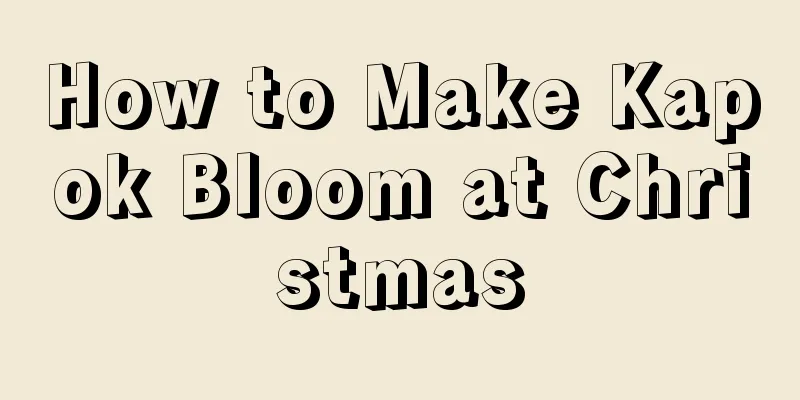 How to Make Kapok Bloom at Christmas