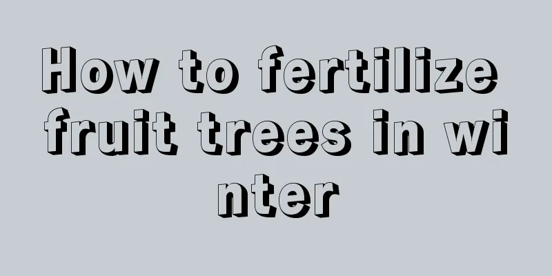 How to fertilize fruit trees in winter