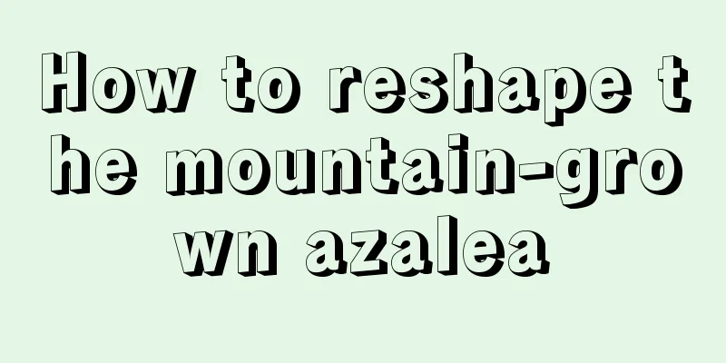 How to reshape the mountain-grown azalea