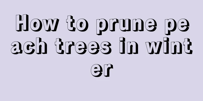 How to prune peach trees in winter