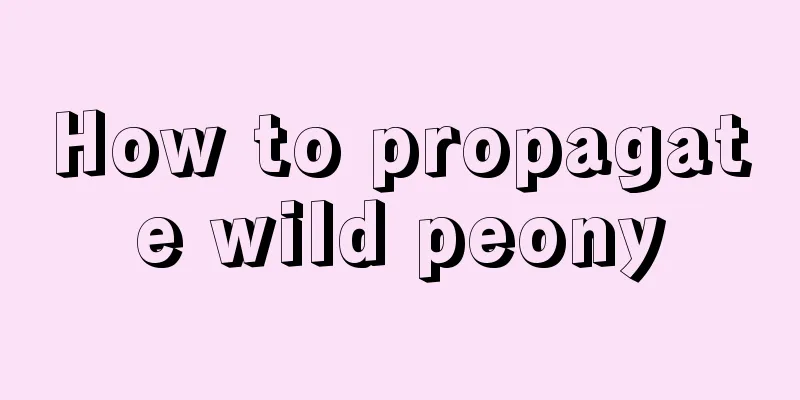 How to propagate wild peony