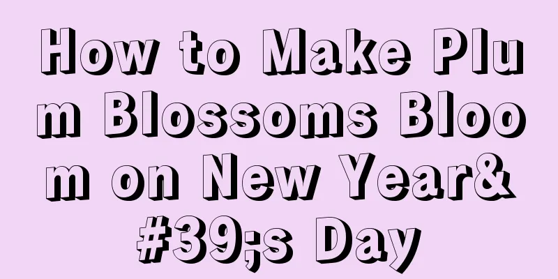 How to Make Plum Blossoms Bloom on New Year's Day