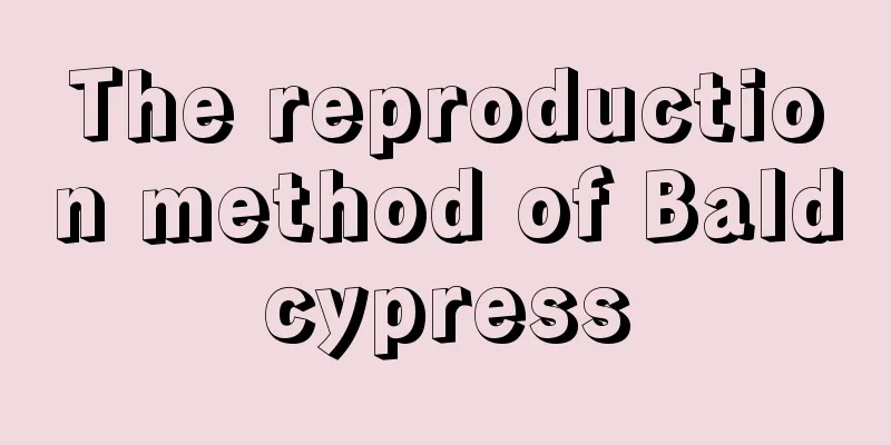 The reproduction method of Baldcypress