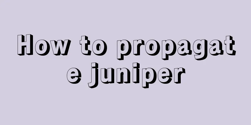 How to propagate juniper