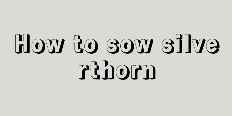 How to sow silverthorn