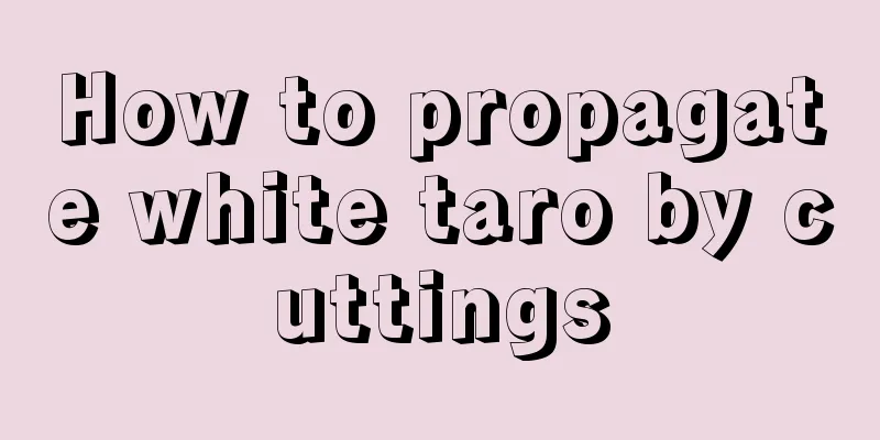 How to propagate white taro by cuttings