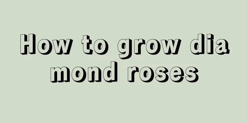 How to grow diamond roses