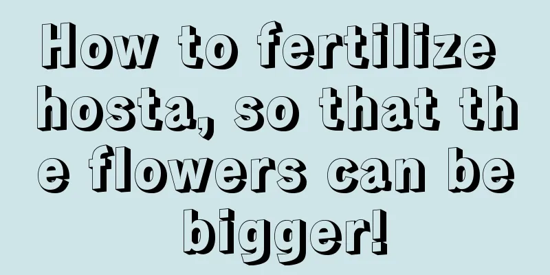 How to fertilize hosta, so that the flowers can be bigger!