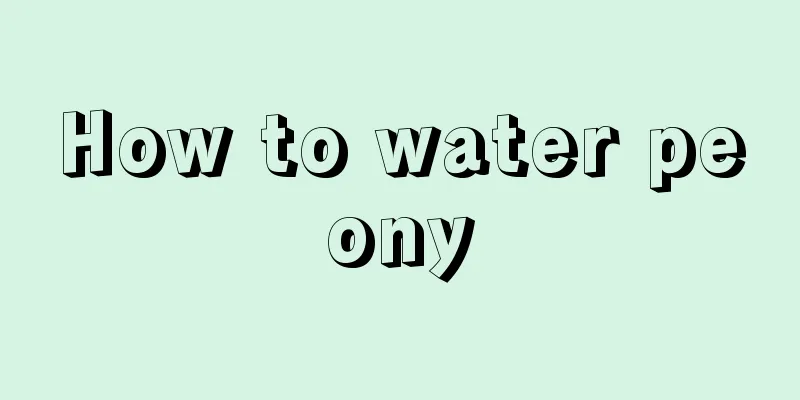 How to water peony