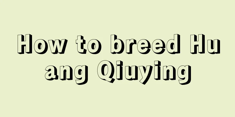 How to breed Huang Qiuying