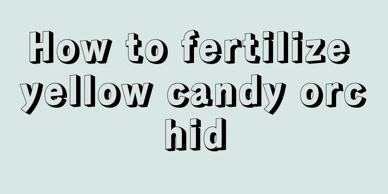 How to fertilize yellow candy orchid