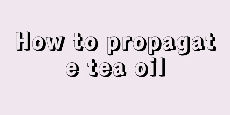 How to propagate tea oil