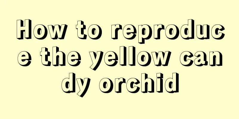 How to reproduce the yellow candy orchid