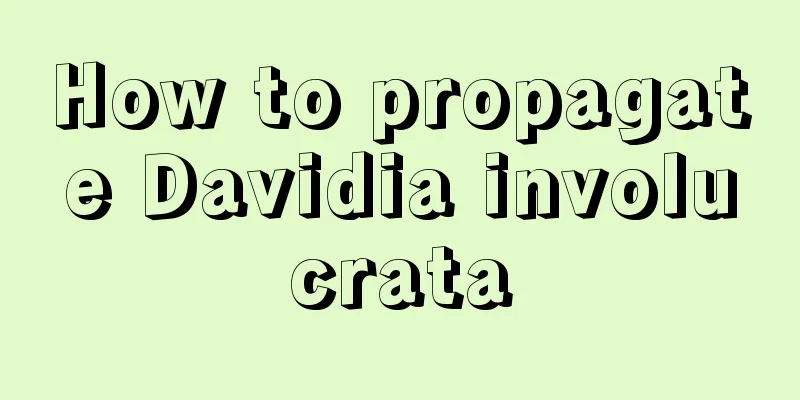 How to propagate Davidia involucrata