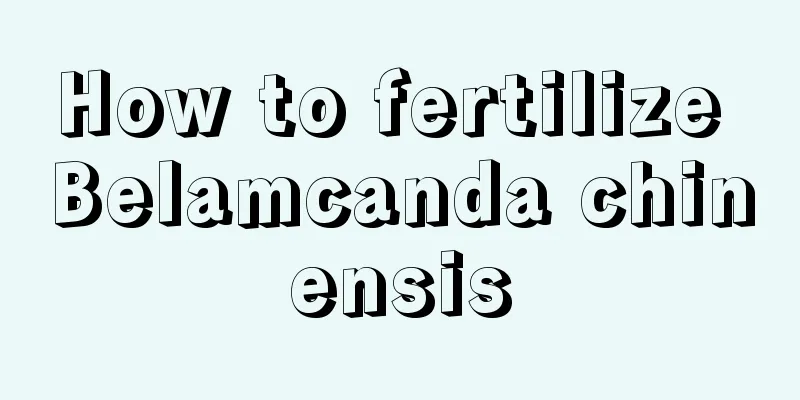 How to fertilize Belamcanda chinensis