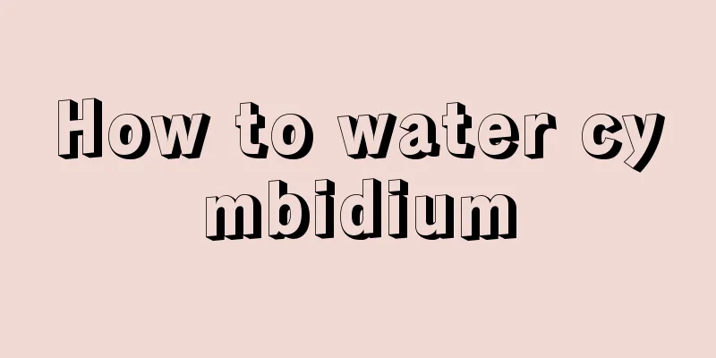 How to water cymbidium