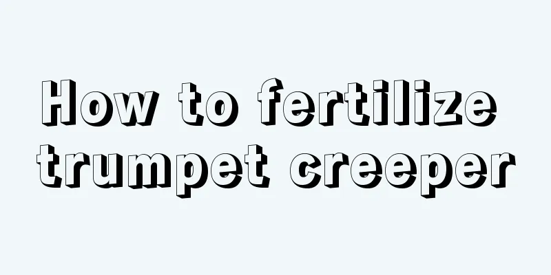 How to fertilize trumpet creeper